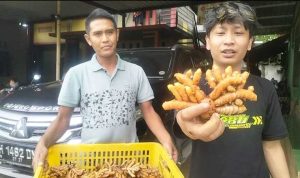 Cakra Nusantara IMG-20251108-WA0017